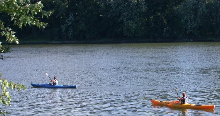 Kayaks launched from the Marshla